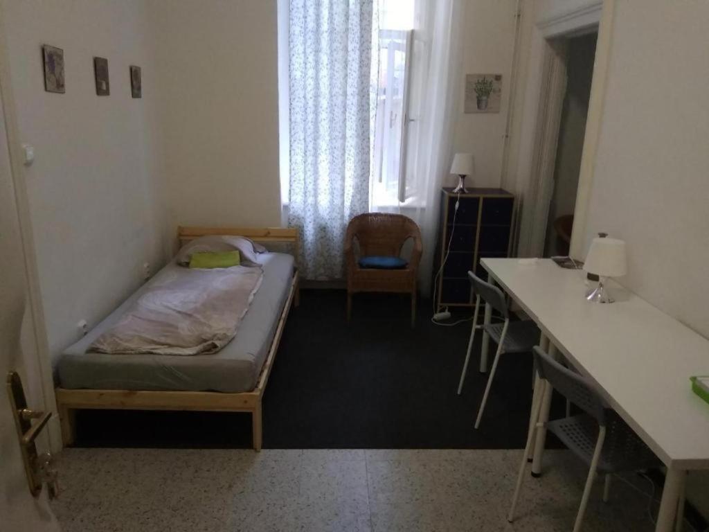 ברנו Rooms Veveri - Uvoz, 10 Min Peski Do Centru מראה חיצוני תמונה